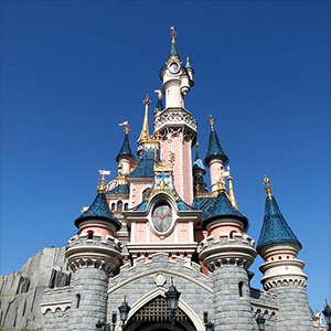 Disneyland contributions