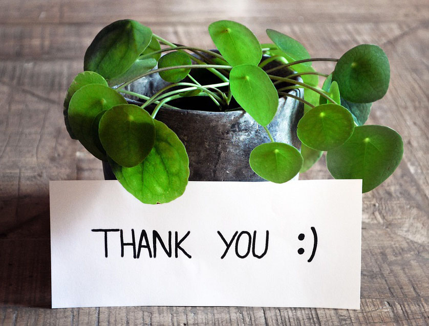 A photo of a pot plant with a thank you sign resting against it